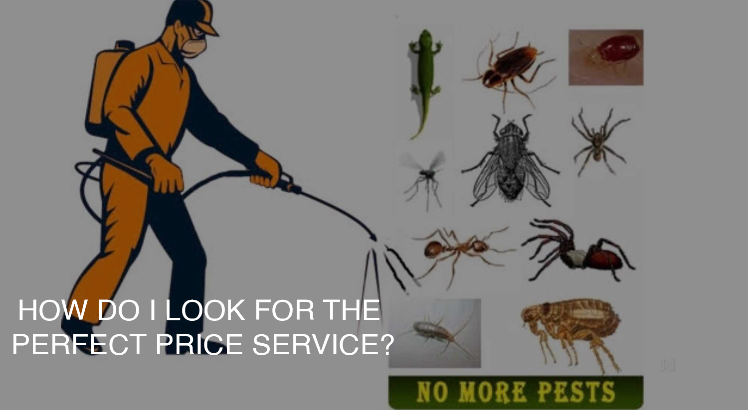 Pest Control Utah